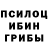 Галлюциногенные грибы Psilocybine cubensis Amir Kadyrov