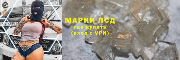 мяу мяу мука Надым
